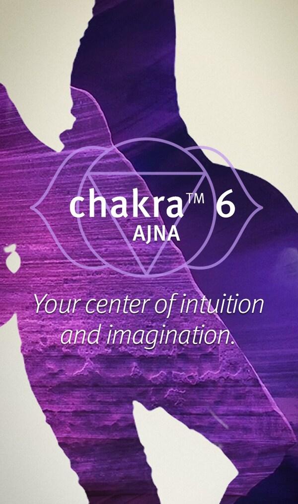 Aveda Chakra™ 6 Balancing Pure-fume™ Mist Insight