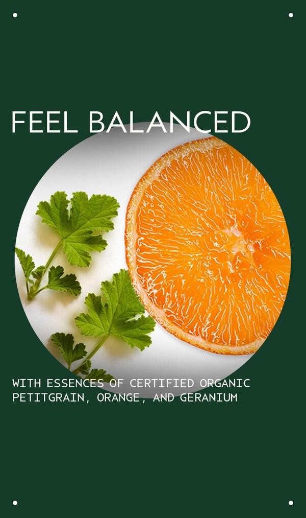 Aveda Chakra™ 6 Balancing Pure-fume™ Mist Insight