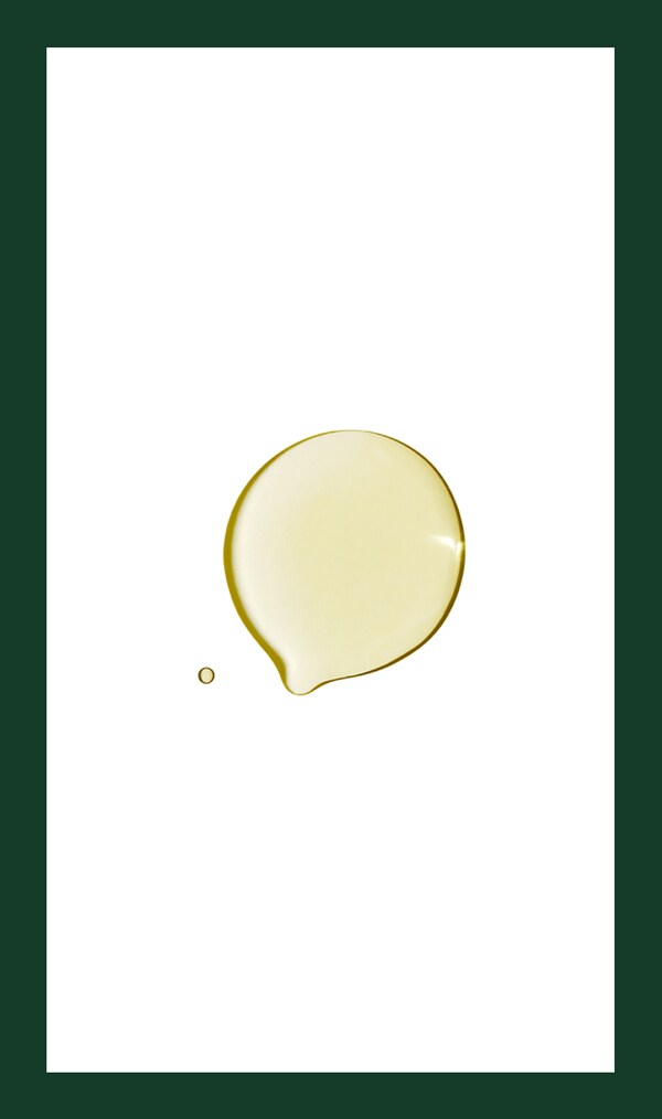 Aveda Dry Remedy™ Daily Moisturizing Oil | Hair Oil