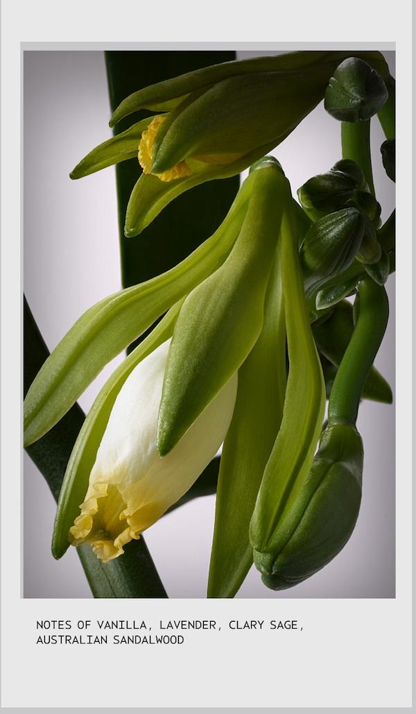 Aveda Invati Ultra Advanced™ Thickening Conditioner – Light