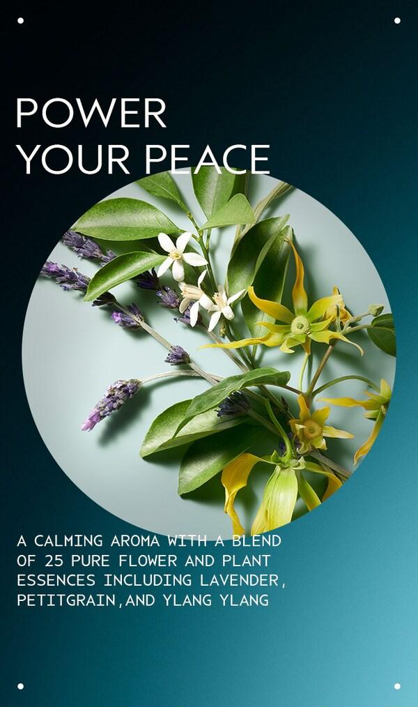 Aveda Shampure™ Nurturing Shampoo | Paraben And Silicone Free