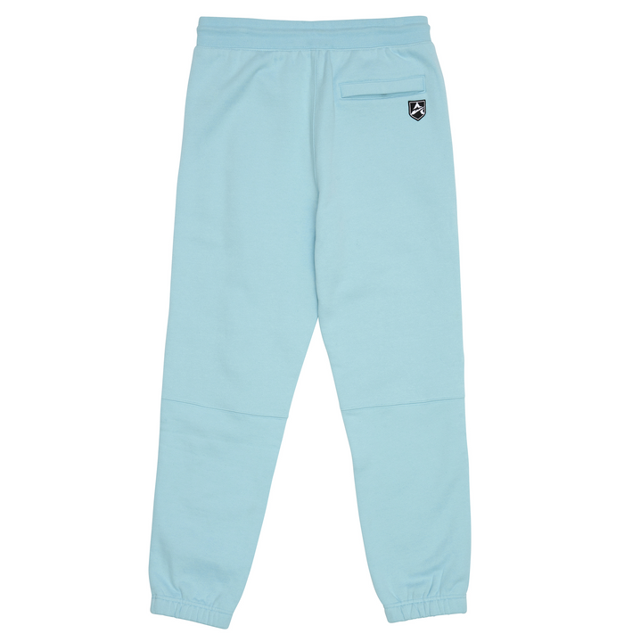 Avirex ICON JOGGER GLACIER