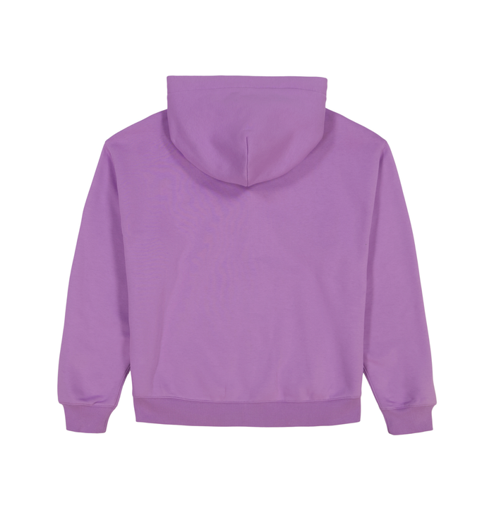 Avirex SCRIPT HOODIE VIOLET