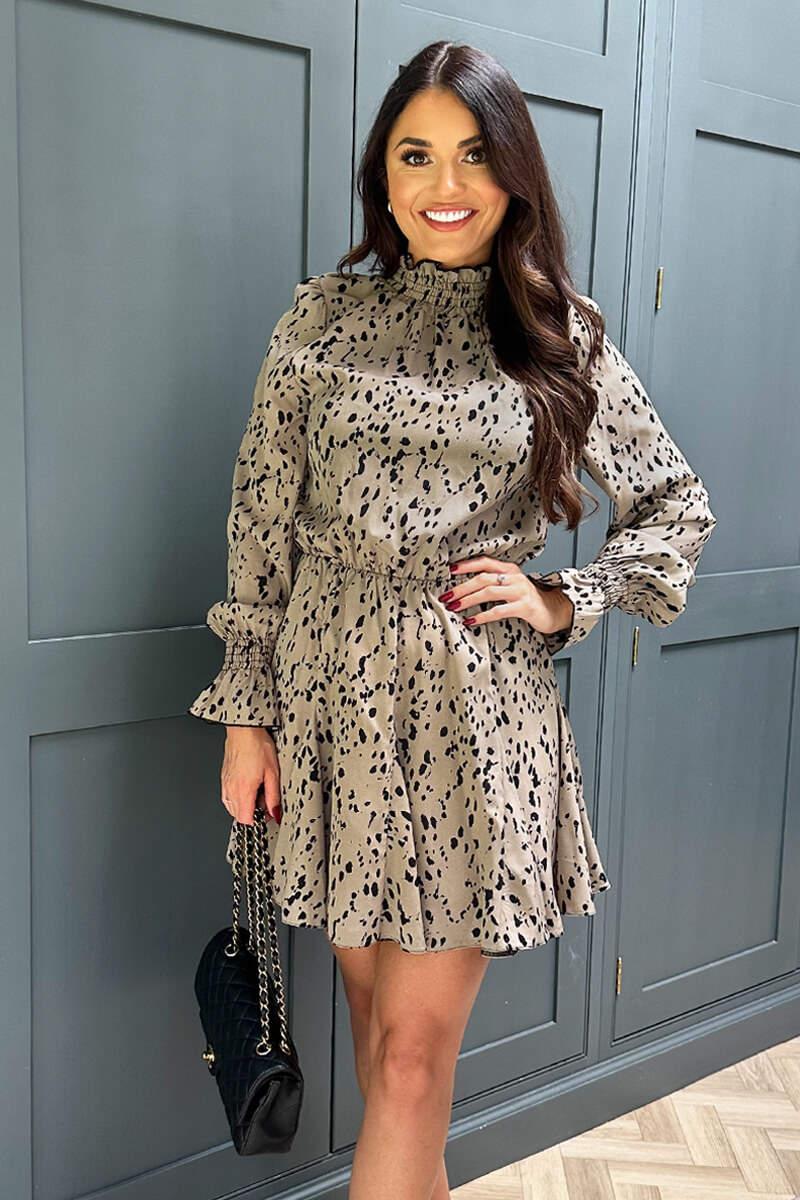 ax paris Beige Animal Print Long Sleeve Shirred Detail Skater Dress