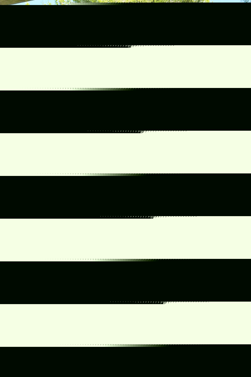 ax paris Multi Blossom Print Strappy Slip Midi Dress