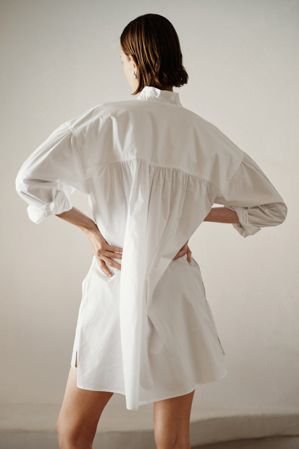 Ayr Premium Women's Cotton Poplin Dress - The Tonic