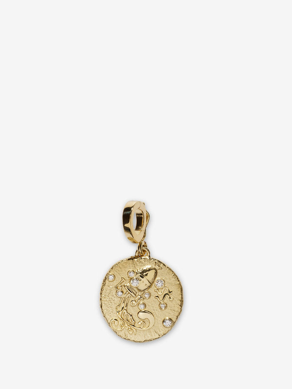 azlee Of The Stars Aquarius Small Coin Charm