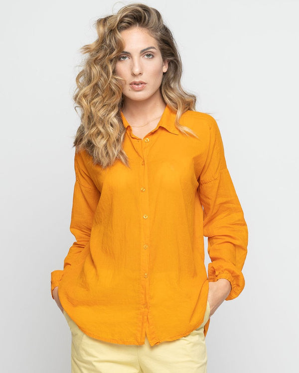 baci Sheer Hi-Lo Button-Up Shirt Corn