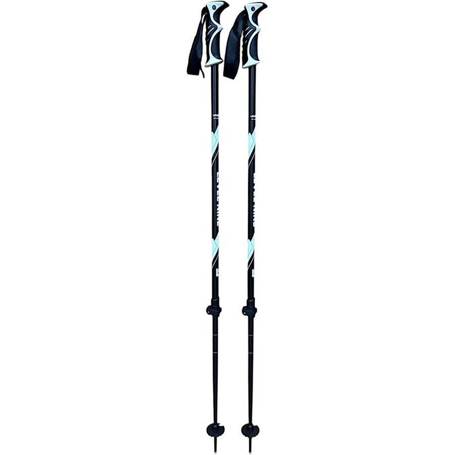 Backcountry Defiance Adjustable Ski Poles - 2025