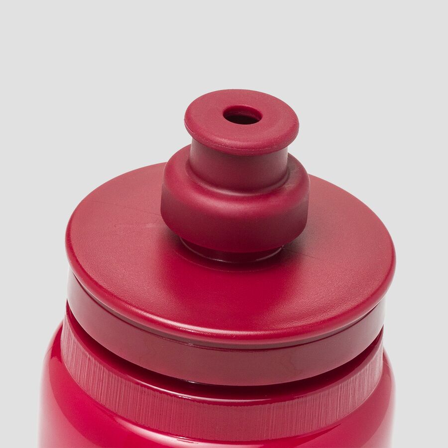 Backcountry Elite Fly Tex Water Bottle Amaranth