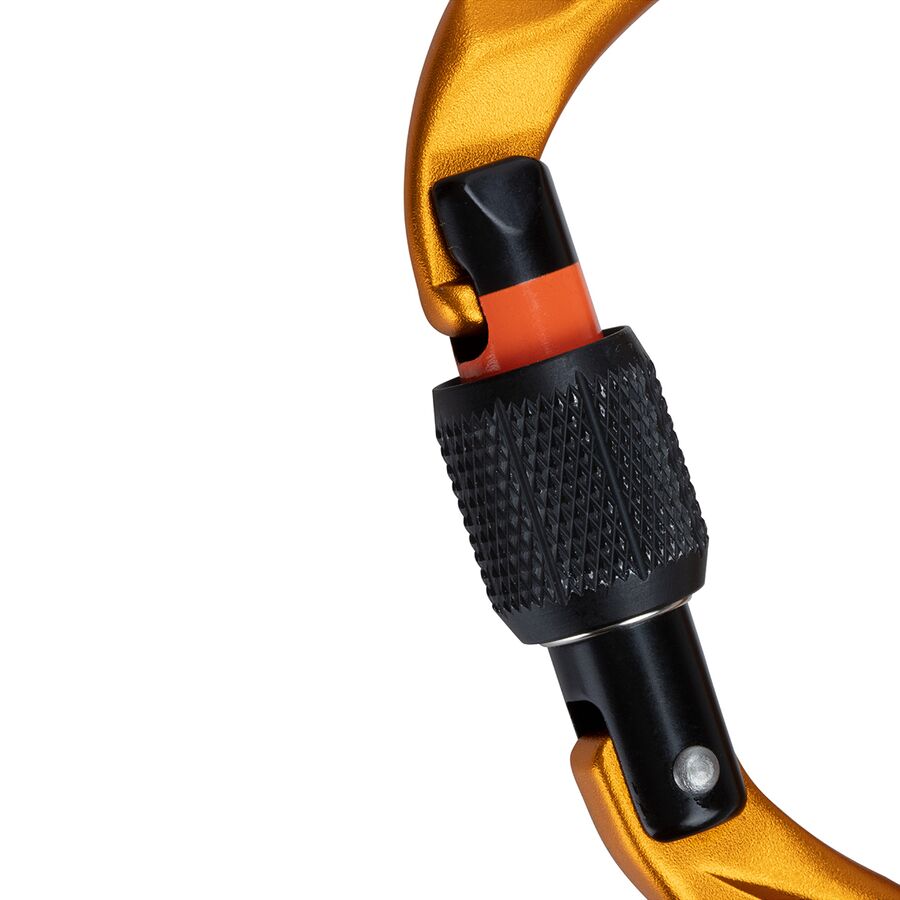 Backcountry Mammut Sender Screwgate Carabiner Gold