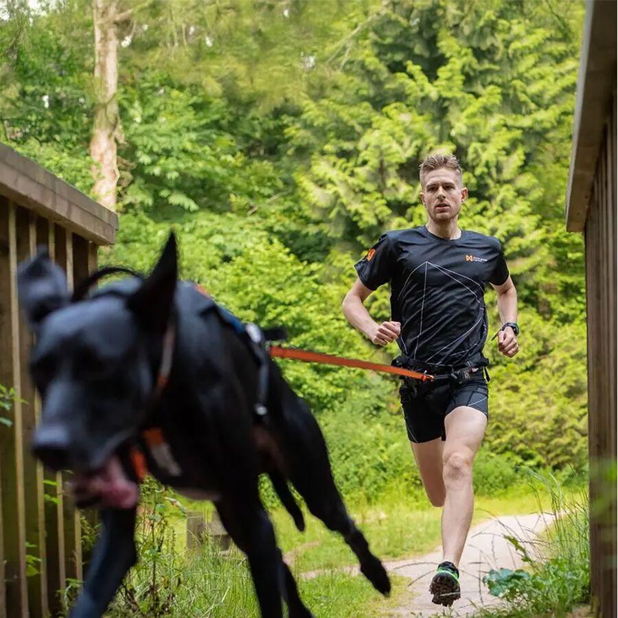 Backcountry Non-stop Dogwear Bungee Leash