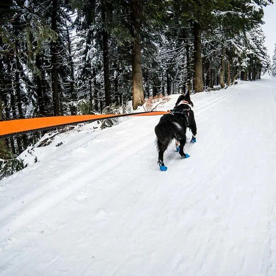 Backcountry Non-stop Dogwear Bungee Leash