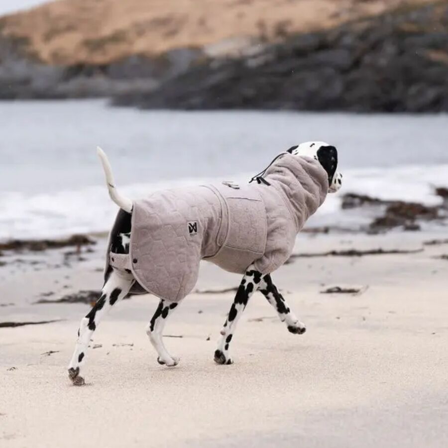 Backcountry Non-stop Dogwear Drying Jacket