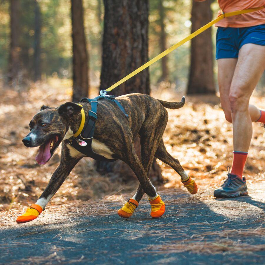 Backcountry Ruffwear Summit Trex Dog Shoes