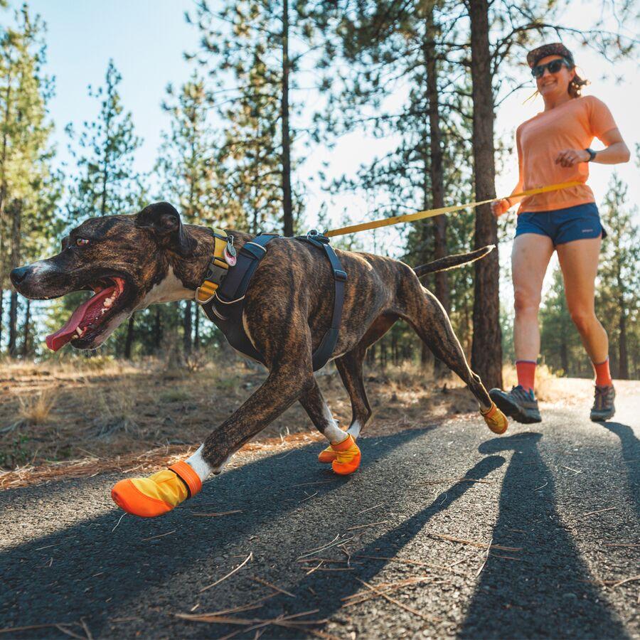 Backcountry Ruffwear Summit Trex Dog Shoes