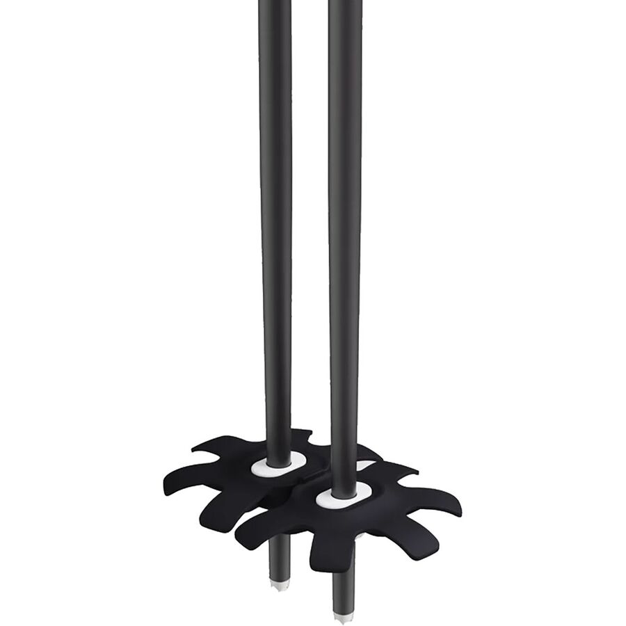 Backcountry Yardsale P2 Ski Poles