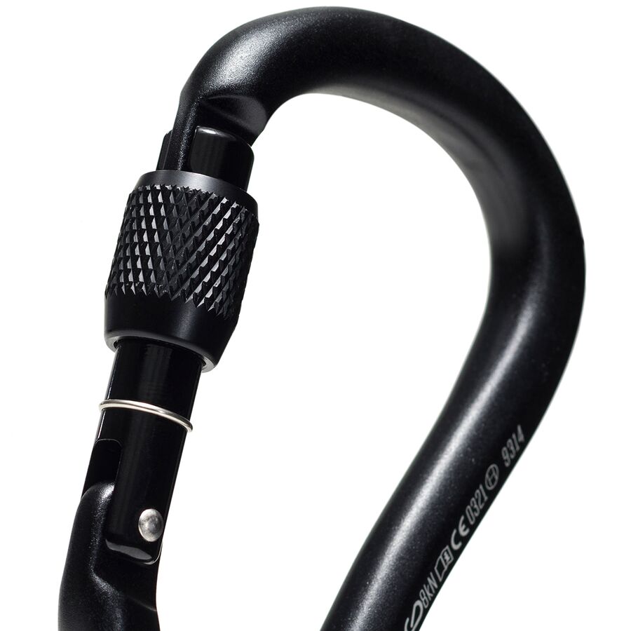 Backcountry Black Diamond RockLock Screwgate Carabiner Black