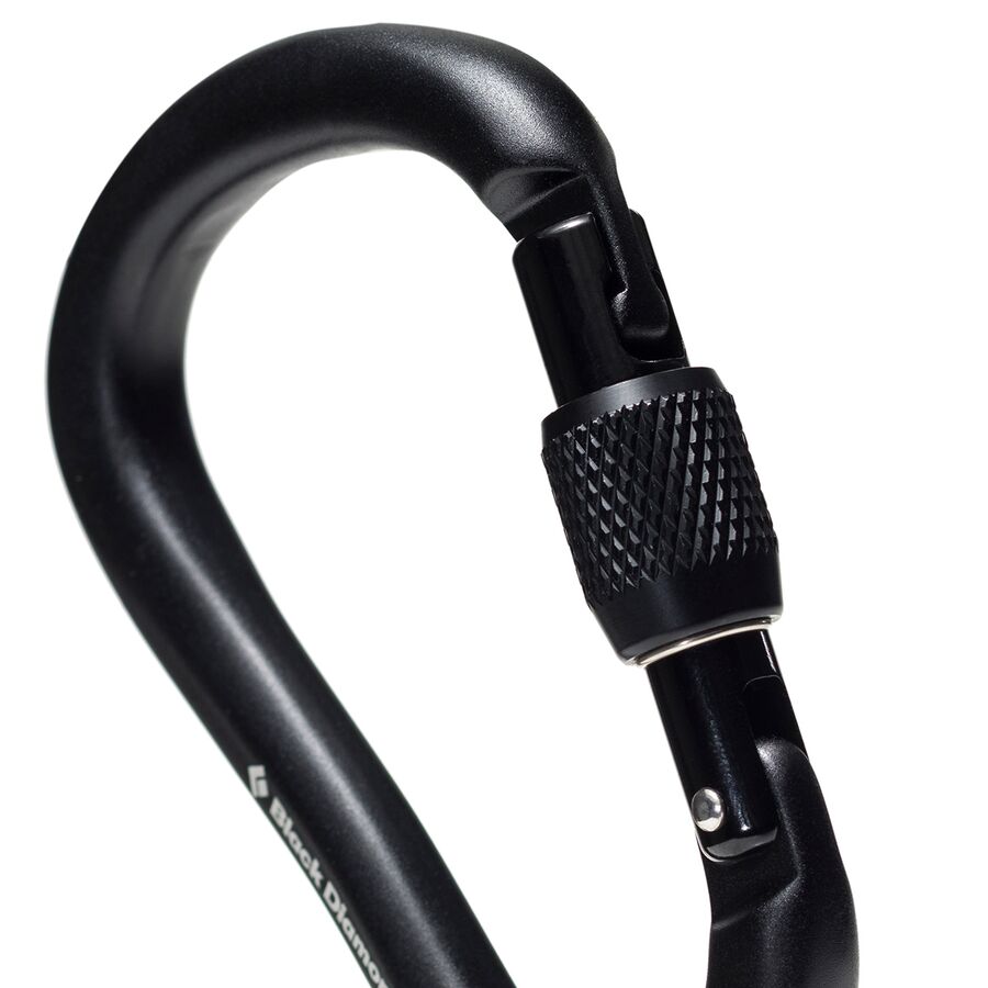 Backcountry Black Diamond RockLock Screwgate Carabiner Black