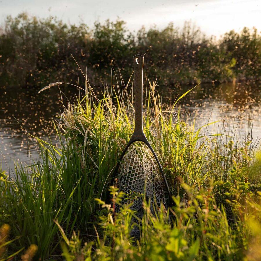 Backcountry Fishpond Nomad Canyon Net Wild Brown Trout