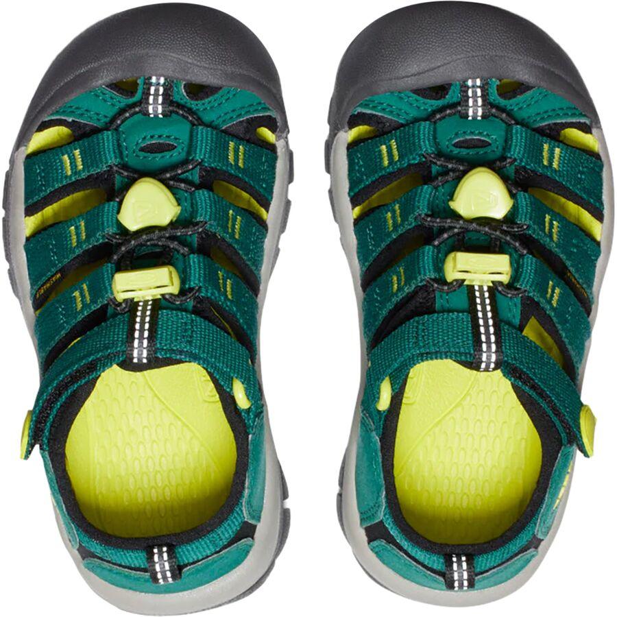 Backcountry KEEN Newport H2 Sandal - Little Kids' Aventurine/Evening Primrose
