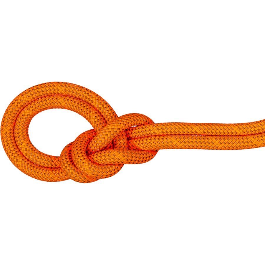 backcountry Mammut Crag Dry Rope - 9.8mm Vibrant Orange/Boa