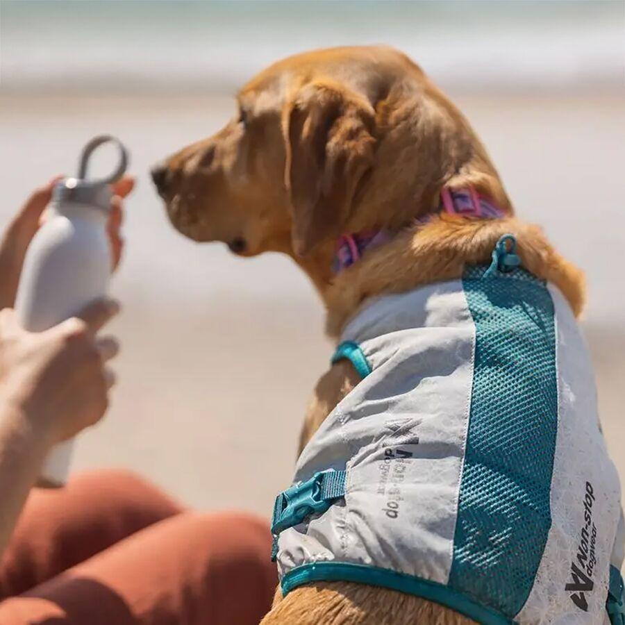 Backcountry Non-stop Dogwear Cooling Vest Lightgray/Teal