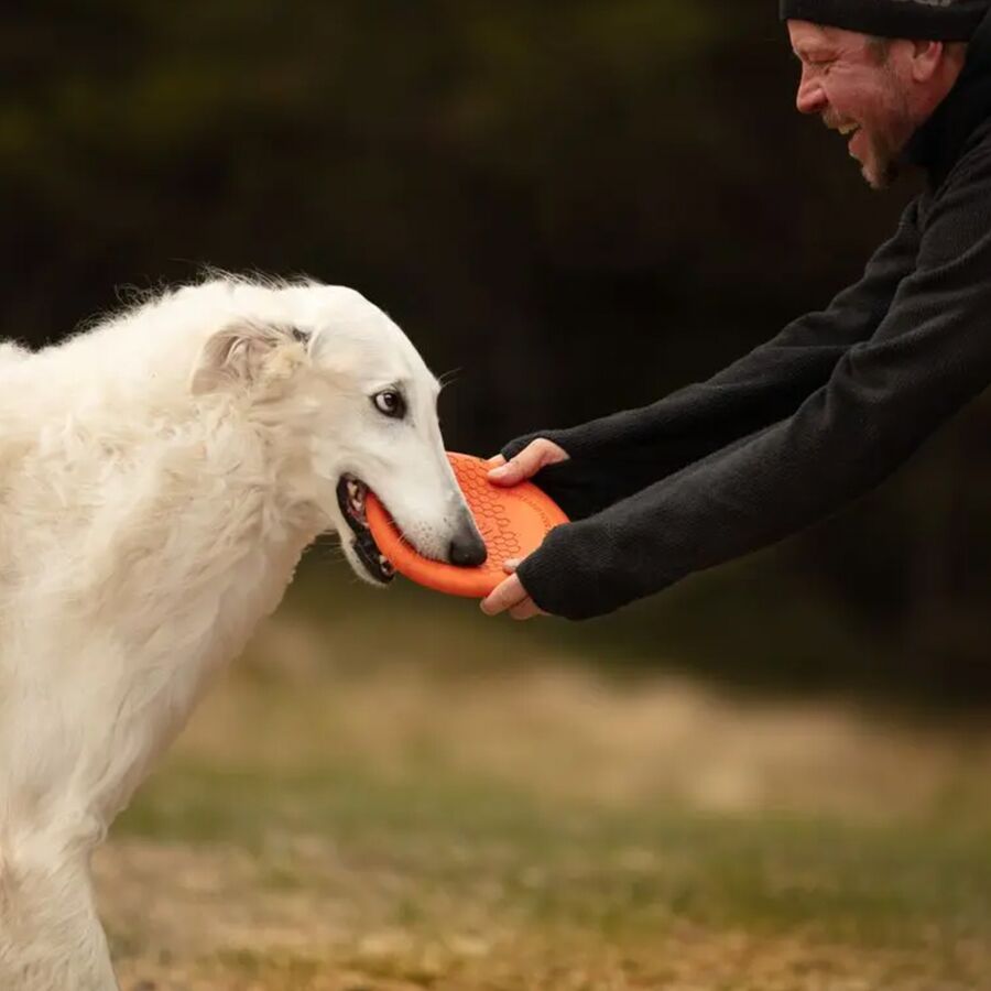 Backcountry Non-stop Dogwear Dog Flying Disc Orange/Black