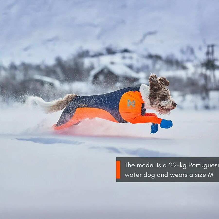 Backcountry Non-stop Dogwear Protector Snow - Male Black/Orange
