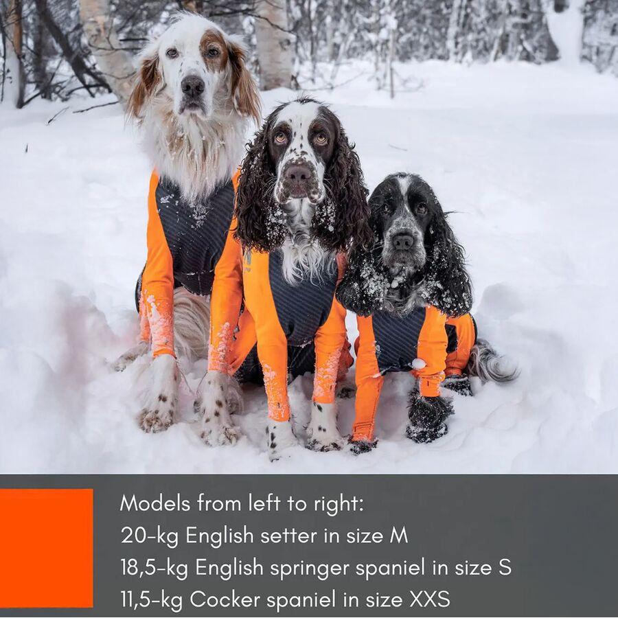 Backcountry Non-stop Dogwear Protector Snow - Male Black/Orange