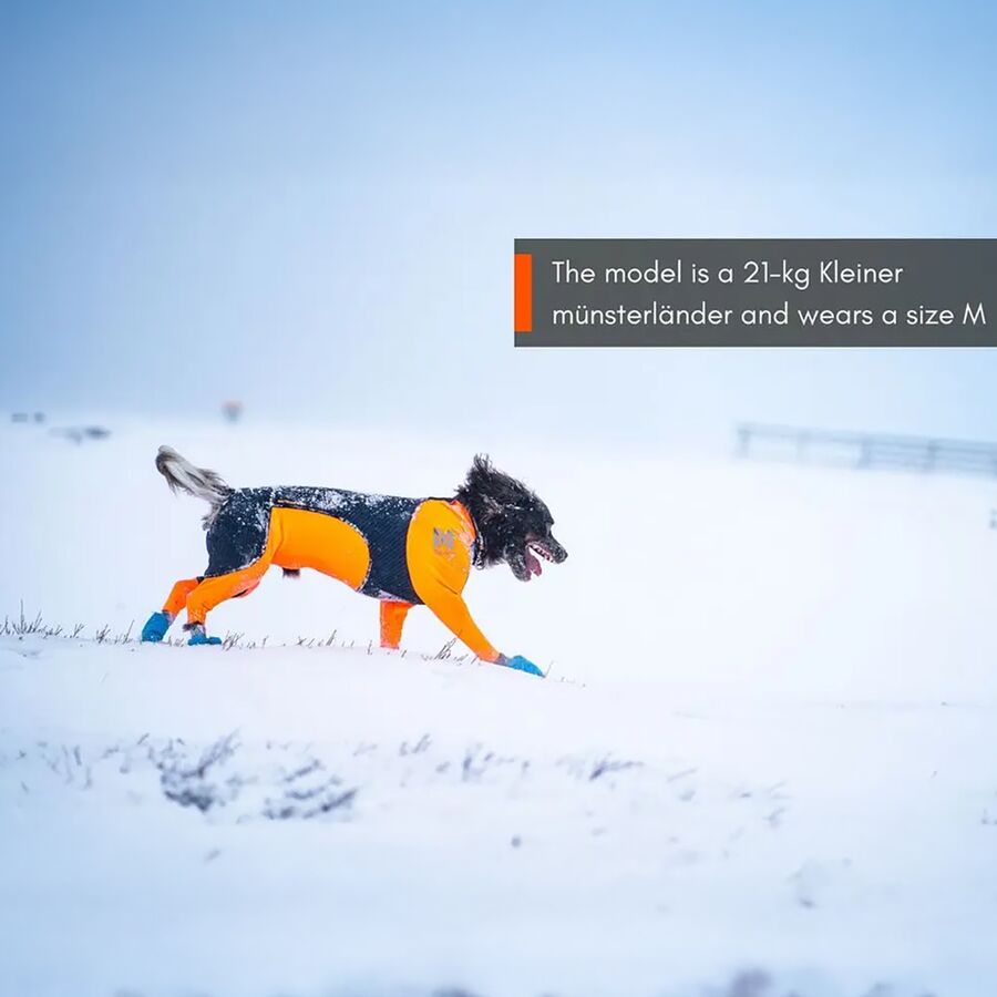 Backcountry Non-stop Dogwear Protector Snow - Male Black/Orange