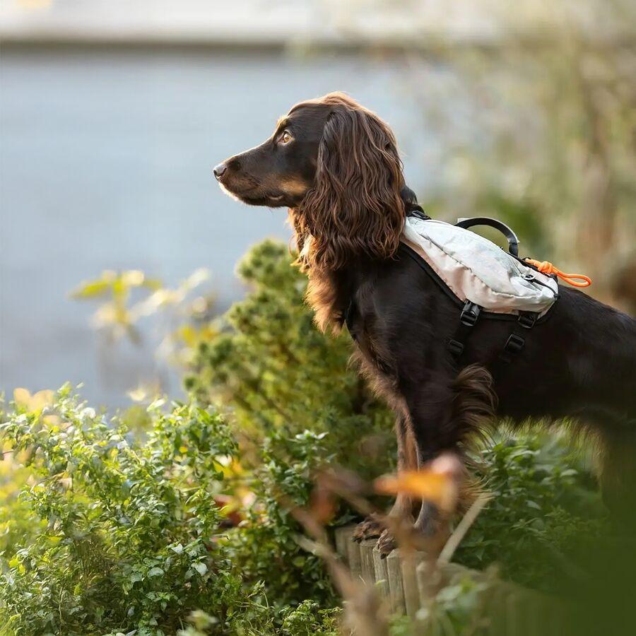 Backcountry Non-stop Dogwear Trail Light Dog Backpack Glaciergray