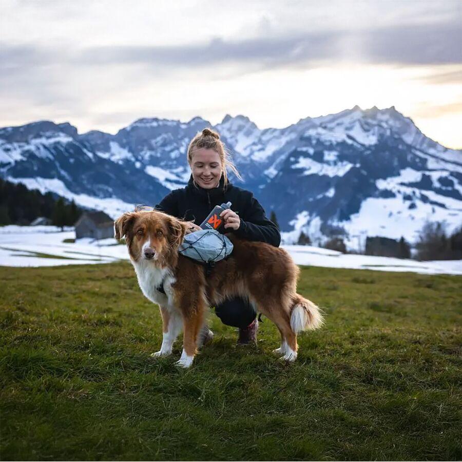 Backcountry Non-stop Dogwear Trail Light Dog Backpack Glaciergray