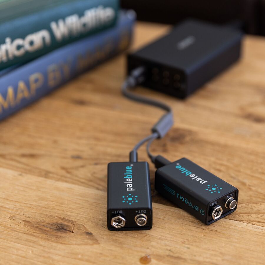 Backcountry Pale Blue Earth Lithium Ion Rechargeable 9V Batteries One Color