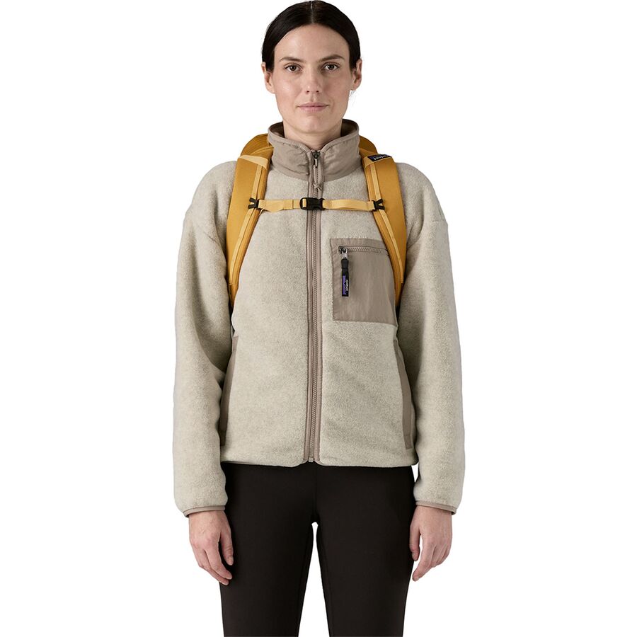 Backcountry Patagonia Black Hole 25L Backpack Basin Green