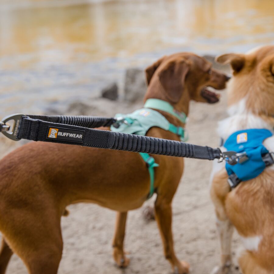 Backcountry Ruffwear Double Track Coupler Basalt Gray