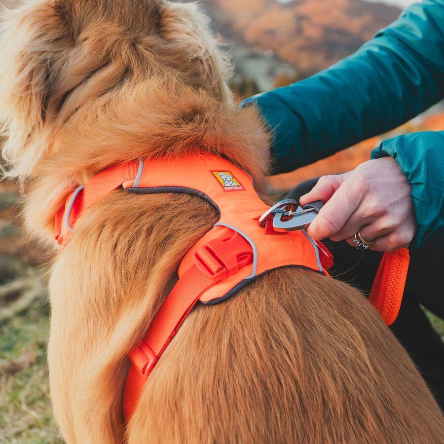 Backcountry Ruffwear Front Range Harness Blaze Orange