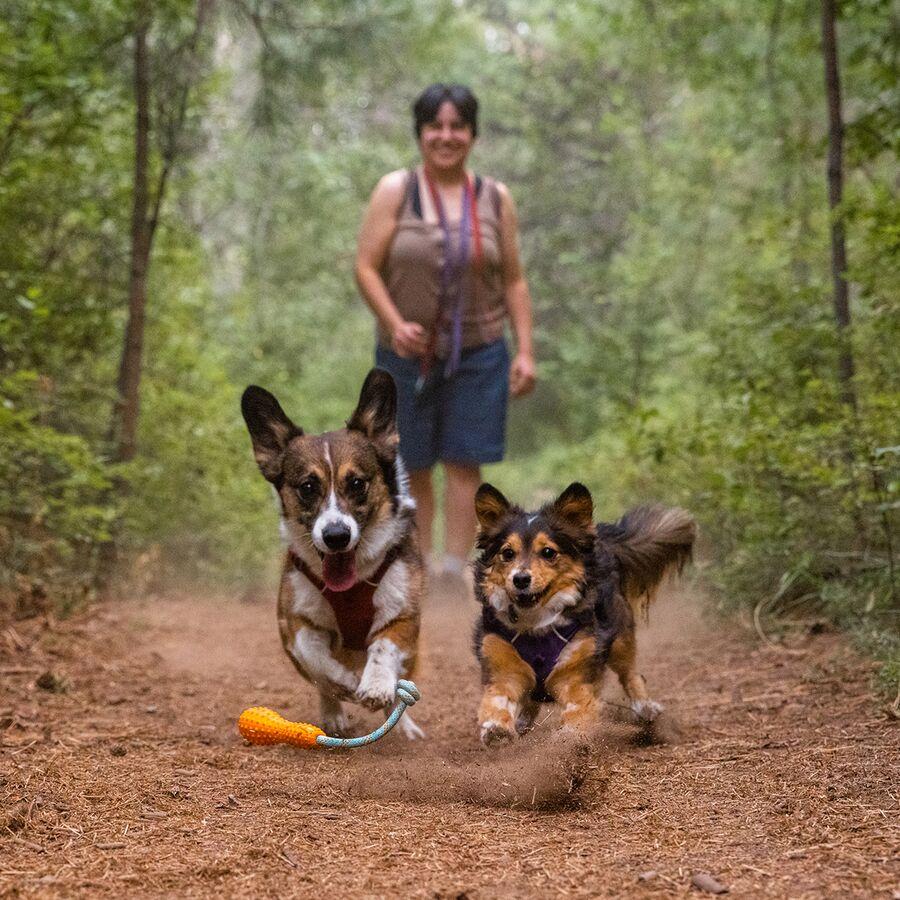 Backcountry Ruffwear Gourdo Dog Toy Campfire Orange