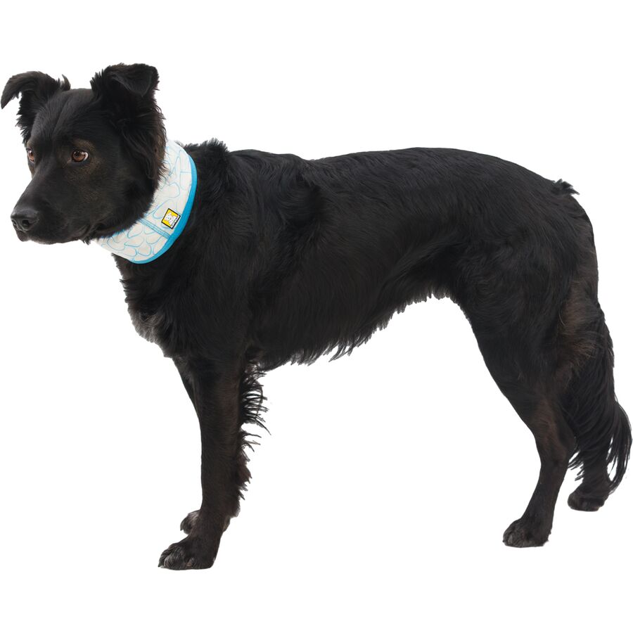 Backcountry Ruffwear Swamp Cooler Neck Gaiter Biolumin Blue