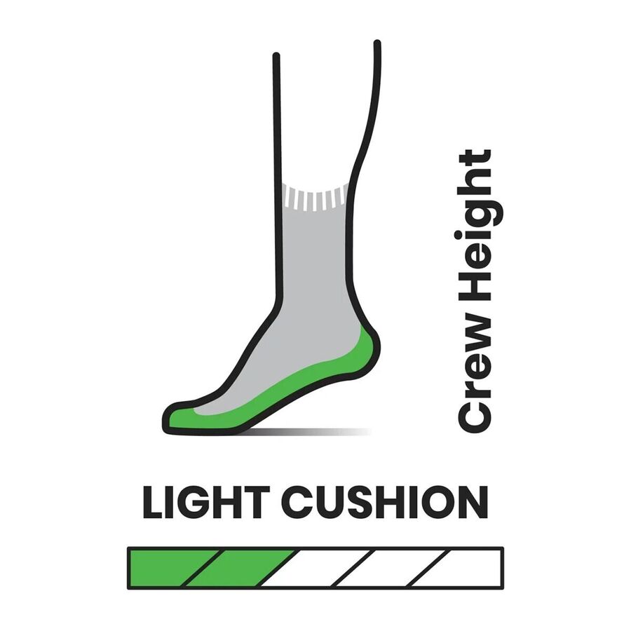 Backcountry Smartwool Performance Hike Light Cushion Crew Sock Ash