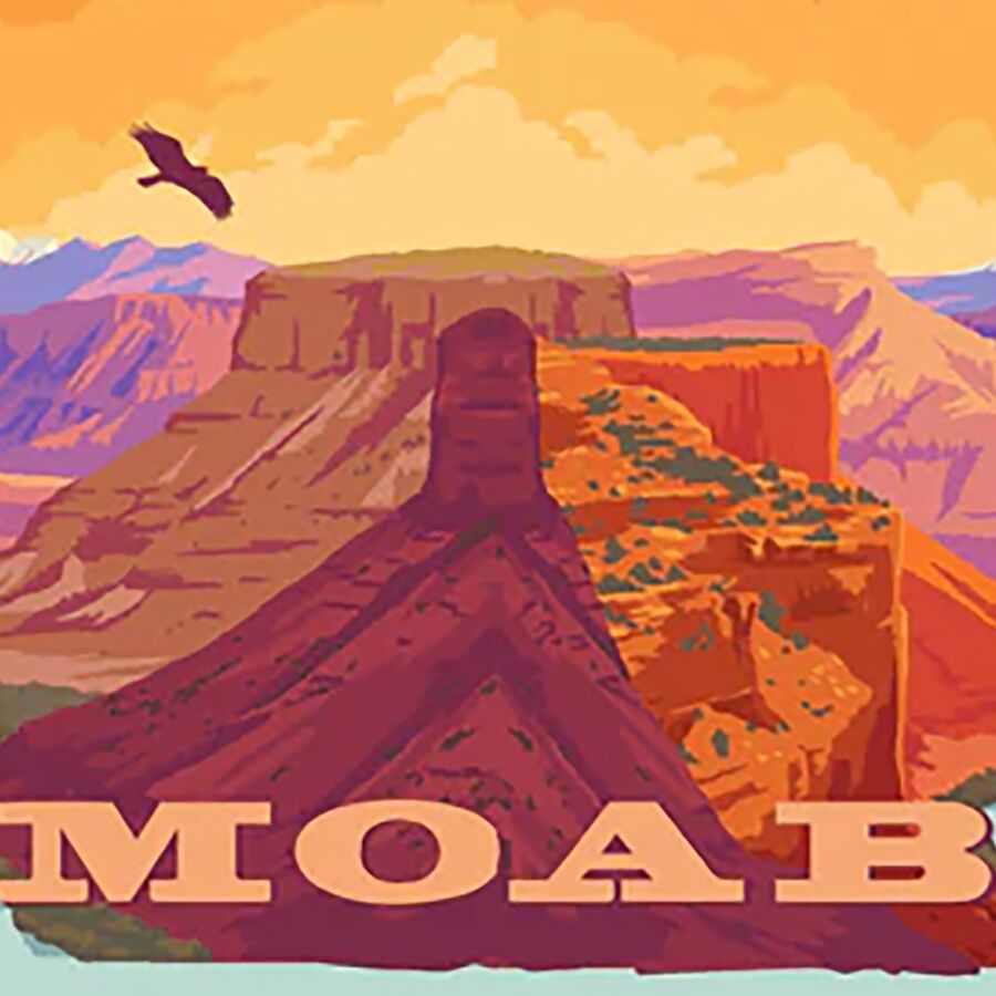 Backcountry Swiftwick Vision Crew Impression Sock California