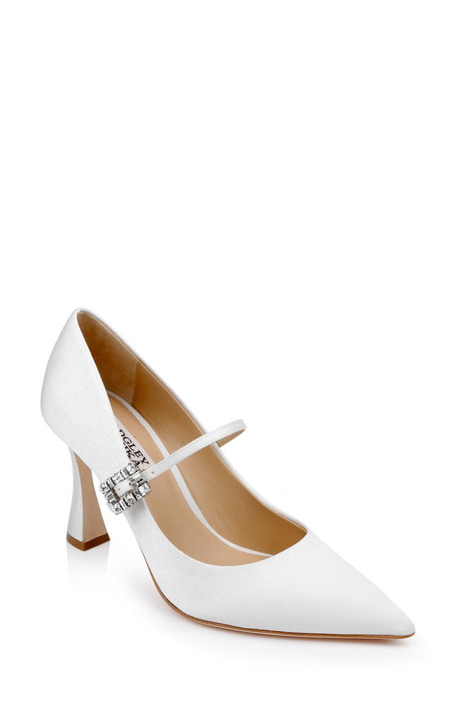 badgley mischka Antonia Pointed Toe Mary Jane Pumps