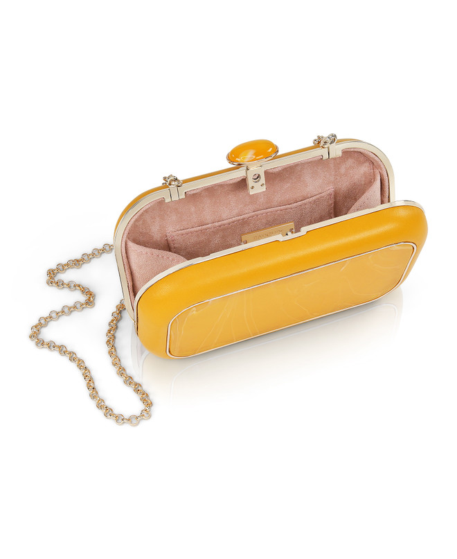 Badgley Mischka Jordan Acrylic Box Clutch