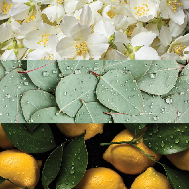 Badgley Mischka Cap D'Antibes Extrait De Parfum Twist & Spray Set