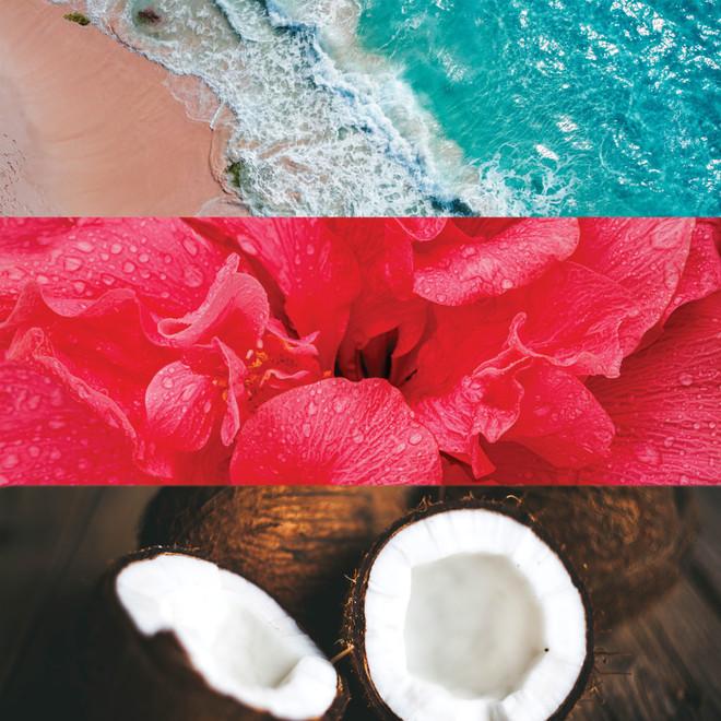 Badgley Mischka Château Vizcaya Extrait De Parfum Twist & Spray Set