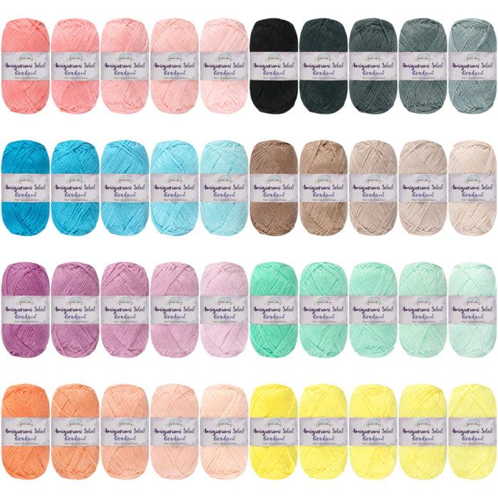 bamboomn Amigurumi Select Gradient Yarn