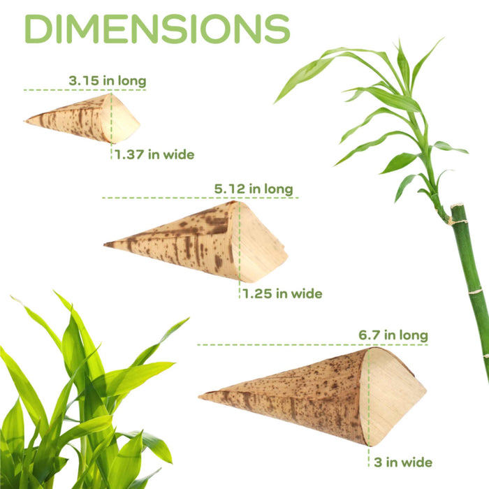 Bamboomn Bamboo Leaf Cone