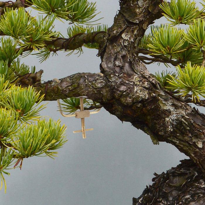 Bamboomn Bonsai 3" Branch Bender