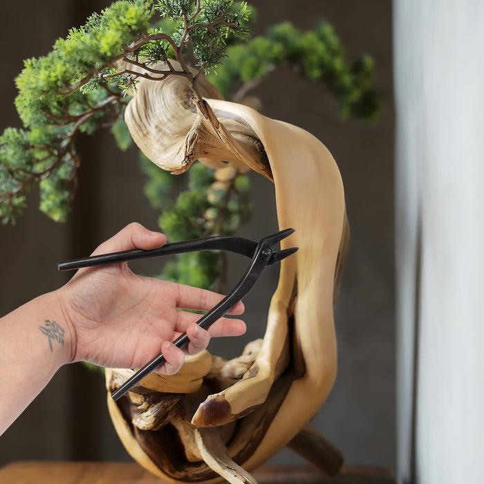 Bamboomn Bonsai 3pc Trunk And Root Set