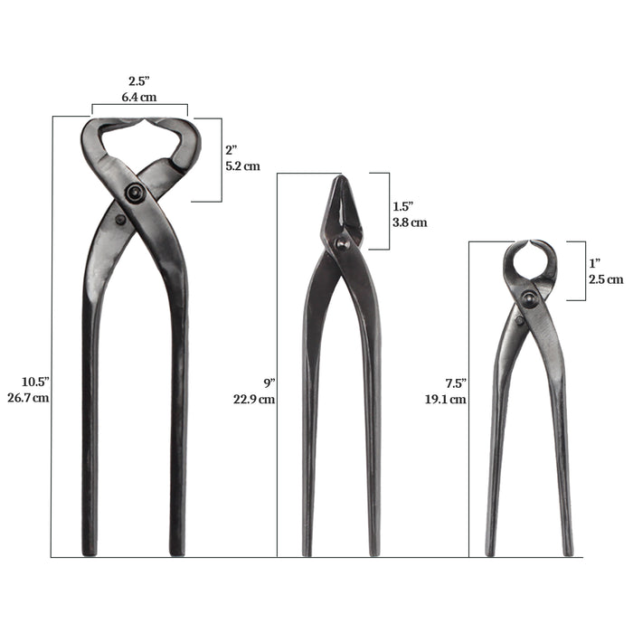 Bamboomn Bonsai 3pc Trunk And Root Set